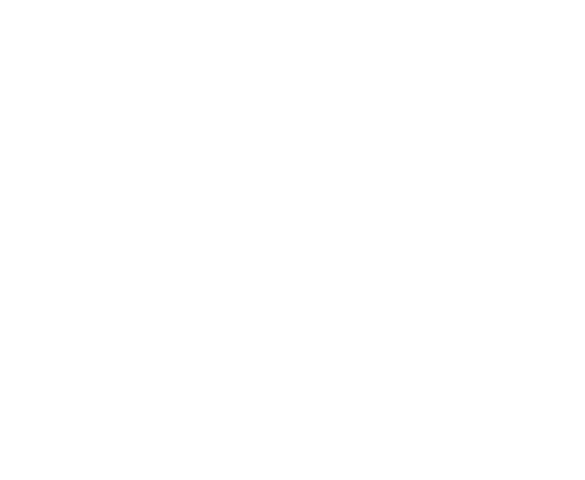 Gmax Auto
